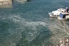 Marmara'da balıkçılar müsilaj nedeniyle av sezonunu erken kapattı