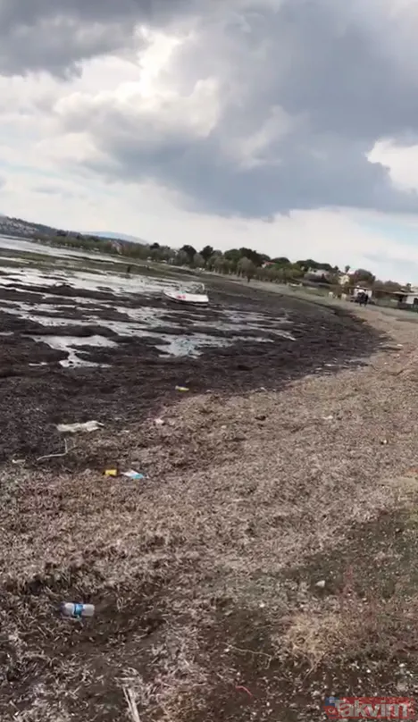 SON DAKİKA: İzmir depremi sonrası uzmanlar uyardı! 'Deniz kenarlarından uzak durun, binalara girmeyin!' - 2