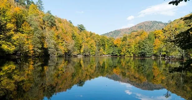 ruyada sevdigin kisiyi gormek ne anlama gelir takvim