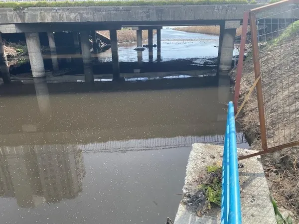 Bakırköy Ayamama Deresi'nde durum içler acısı! CHP'li İBB Ayamama Deresi'ni kaderine terk etti! Çevre kirliliği, koku, sinek…-3