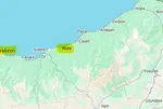 Rize, Trabzon ve Artvin’de yeni geçim kaynağı! Kilosu 6.000 TL