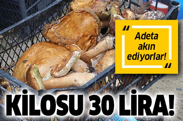 Adeta akın ettiler! Kilosu 30 liradan satılıyor!-1