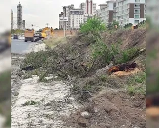 Çevrecilik ahkâmı kesen CHP, yol uğruna ağaçları katletti!