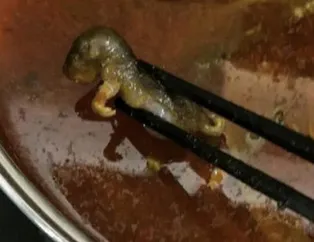 Çorbanın içinden ölü fare çıktı restoran kapandı
