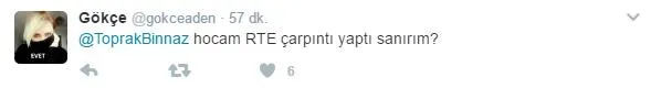 CHP'li Binnaz Toprak alay konusu oldu - 6