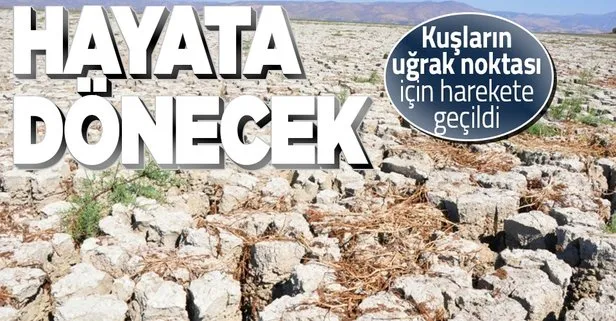 Tarım ve Orman Bakanlığı tamamen kuruyan Marmara Gölü’nün kurtarılması için çalışma başlattı