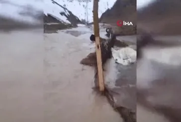 Yüksekova'da dere taştı: Ahırları su bastı