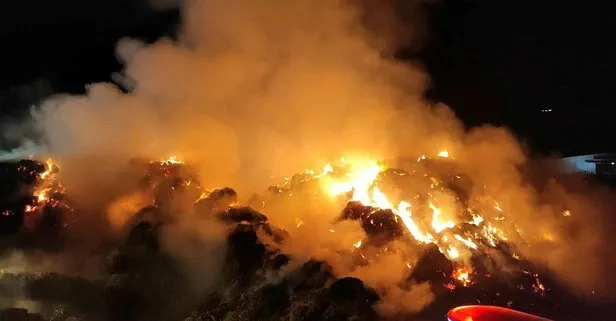 Tonlarca saman ve yem kül oldu
