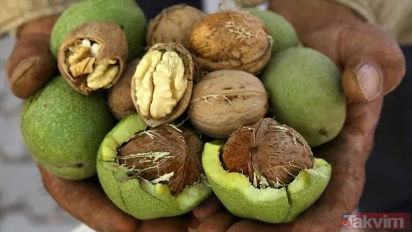 Fındık, fıstık Değil: Doktorlar açıkladı! Ömrü uzatan ve DNA’yı koruyan kuruyemiş belli oldu - 6