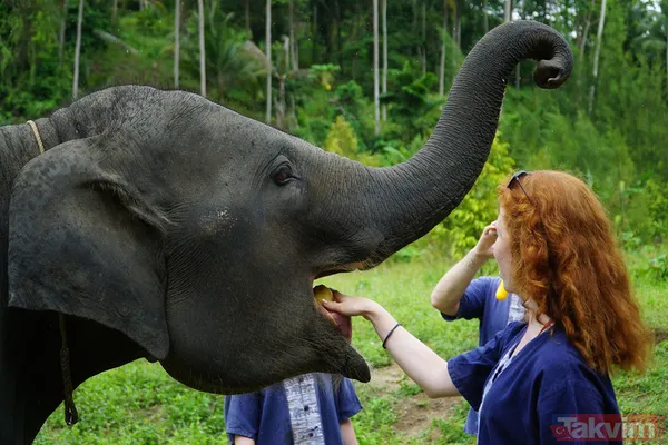 Cevabı Öğrenmek İçin Aşağı Kaydırın... Zeka Oyunlarının Tadını Çıkarın Ve Zihinsel Becerilerinizi Geliştirin! Bu Tür Bulmacalar Kalıpların Dışında Düşünme Ve...