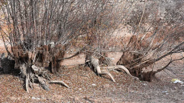 sivas-serpincik-goletinde-su-25-metre-cekildi-1607346982879.jpg Sivas Serpincik Göleti'nde su 25 metre çekildi-3