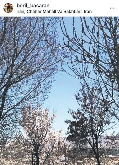 Uçak kazasında kızı Mina'yı kaybeden Beril Başaran İran'a gitti: Paylaştığı fotoğraftaki badem ağacı herkesi şaşırttı-3