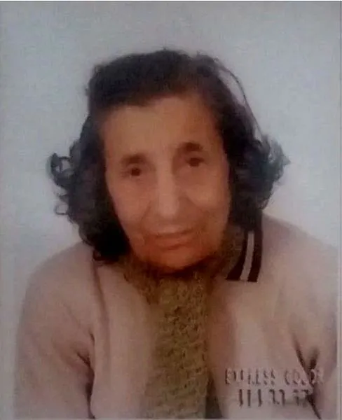 İstanbul'daki milyonluk mirası yağmalamışlar-4