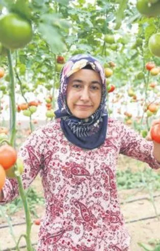 Hibeyle iş sahibi oldu