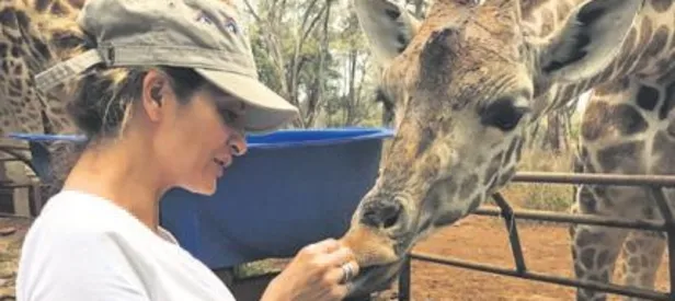 Kenya tatilinde iş teklifi