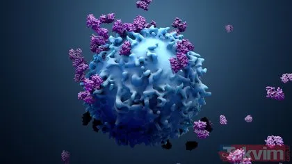 Tüm kanserlerin yeni tedavisi bağışıklık sistemi! Herkesin hayatını değiştirebilir