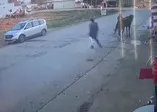 Çaldığı atla markete girip alışveriş yaptı