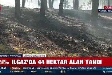 Çankırı'daki orman yangını kontrol altında