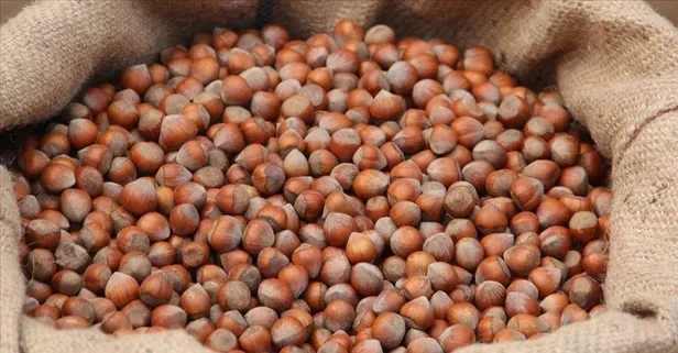 Rekabet Kurumu'ndan fındık fırsatçısı Ferrero'ya tepki: "Piyasa düzeni manipülasyona teslim edilmez"