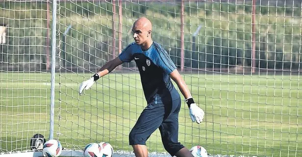 Aslan genç yıldız avında