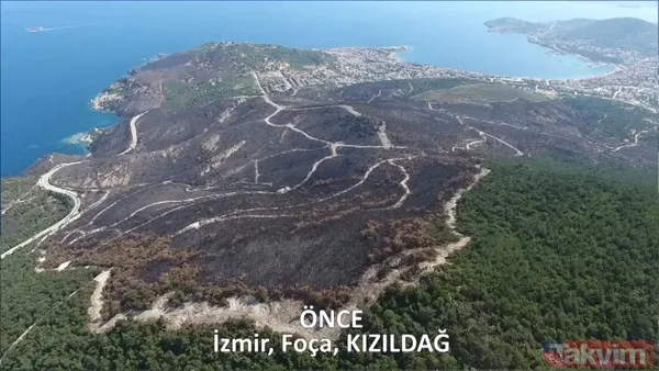 CHP ve yandaşı medyanın yangınlar üzerinden kirli algı oyunu çöktü: 'Otel yapacaklar' dedikleri alanlar tek tek yeşillendirildi - 19