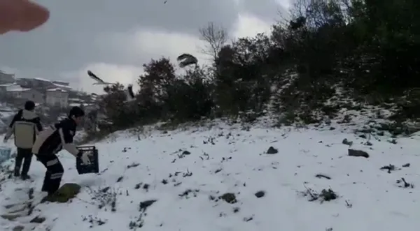 afrikadan-avrupaya-goc-ederken-istanbulda-mola-veren-leylekler-icin-yem-dagitildi-1647786303473.jpg Afrika'dan Avrupa'ya göç ederken İstanbul'da mola veren leylekler için yem dağıtıldı-2