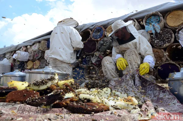 Kilosu 350 TL! 3 bin rakımda üretilen karakovan balından bu yıl 250 ton bekleniyor - 24