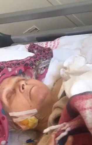 Tasmasız pitbull yaşlı kadının hayatını kararttı: Bacağı kesilebilir