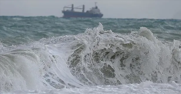 Uzmanından tsunami tehlikesine karşı uyar: Kaçmak için 30 dakika var