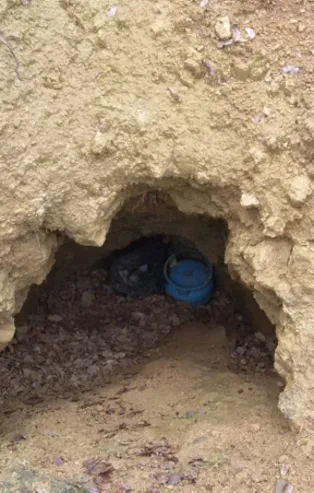 Siirt'te PKK'ya kış operasyonu!