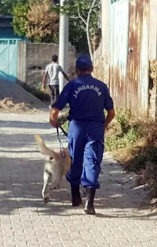 Tire'de kayıp bebek alarmı