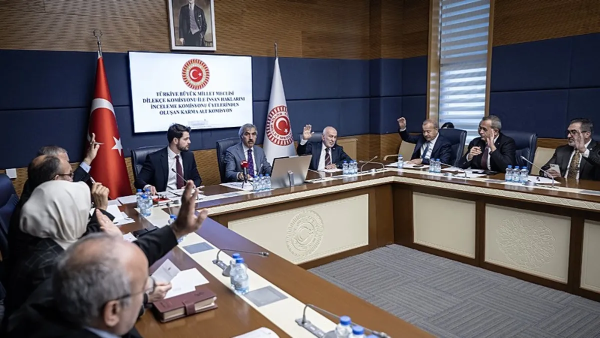 TBMM'de 3 kamu denetçisi adayı belirlendi