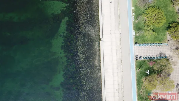 Marmara Denizi'ne müsilaj geri mi dönüyor? İstanbul'da Tuzla Kadıköy ve İzmit ile Yalova'da korkutan görüntü - 9