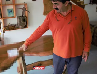 Ceviz ağacının içinden çıktı, yarım milyondan fazla fiyata satılıyor! Detayı gören şaşıp kaldı! Böylesi yüzyılda bir görülür...