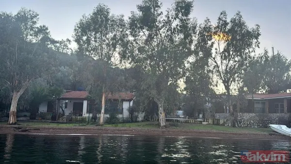 Ferdi Tayfur'un dudak uçuklatan mirası! Kızı Tuğçe'yi men mi etti? Avukatı açıkladı - 11