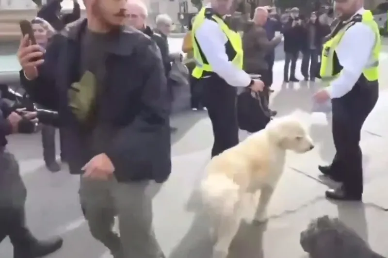 londrada-filistin-eylemi-yuzlerce-kisi-gozaltina-alindi-gorme-engelli-protestocu-ve-kopegin-goturulmesine-tepk-1759652409967.jpeg Köpeğin sahibi ile götürüldüğü anlar, Takvim.com.tr Ekran Görüntüsü