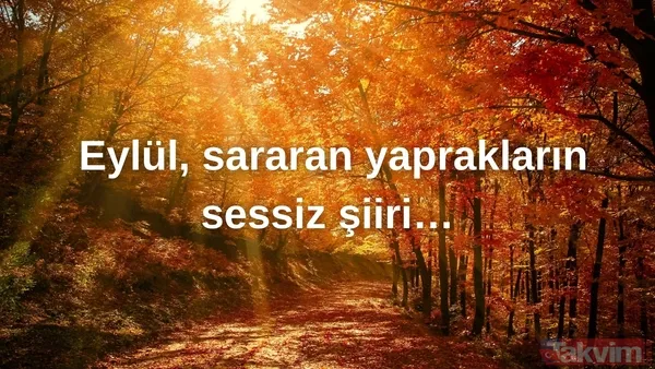 Eylül Ayı Resimli Mesajlar 2025 🍂Eylül, Sararan Yaprakların Sessiz Şiiri…