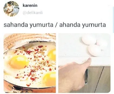 Erkek anatomisi