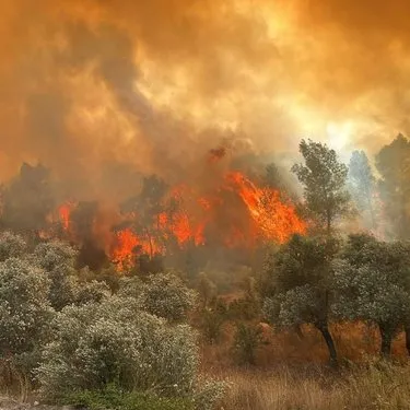 Çanakkale Valiliği’nden orman yangını uyarısı