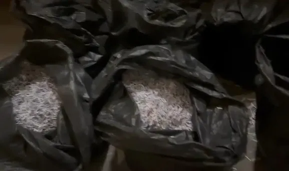 alihan-kuris-sorusturmasinda-kritik-baskin-imha-edilen-evraklar-bulundu-1786773146082.jpeg Alihan Kuriş soruşturmasında kritik baskın! Parçalanan evraklar bulundu-4