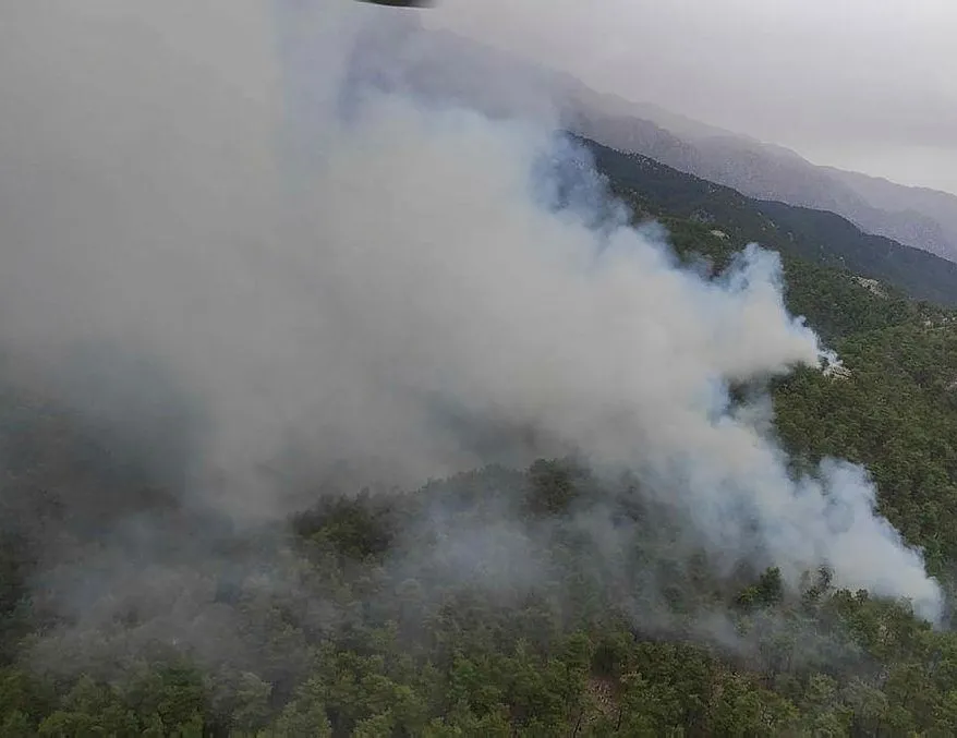 Manavgat’ta orman yangını