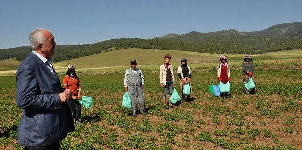 koronavirus-salgini-biber-uretimine-engel-degil-1589869251501.jpg Koronavirüs salgını biber üretimine engel değil-2