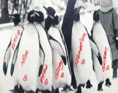 Eski eşinden Gülben Ergen'e şok suçlama-4