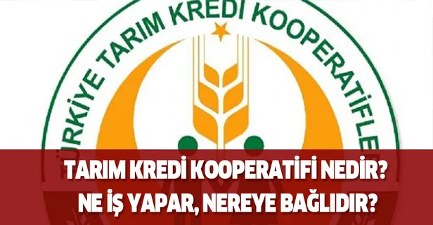 Tarim Kredi Kooperatifi Nedir Ne Is Yapar Nereye Baglidir Takvim