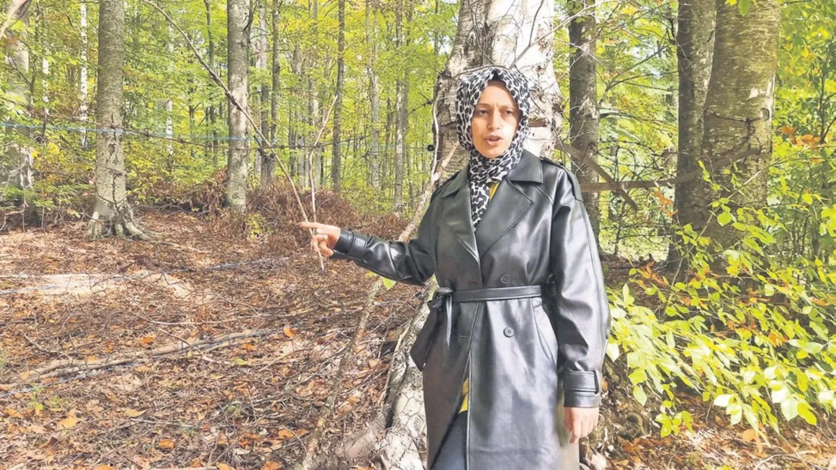 Kütahya'da bahçesini yavru ayı talan etti