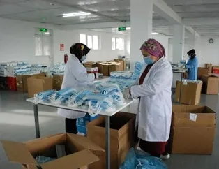 Günde 300 bin tane üreterek yurt dışına ihraç ediyorlar!