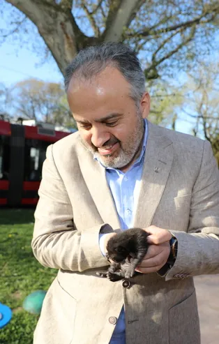 Eski lastikler kedilere ev oldu