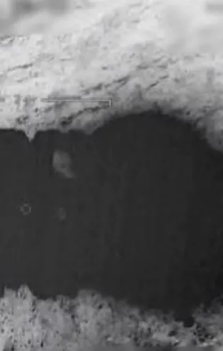 Son dakika: MSB duyurdu: Metina'da 8 terörist etkisiz hale getirildi