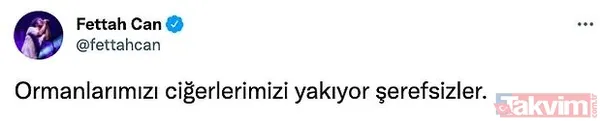 Ünlüler eş zamanlı başlayan orman yangınlarına sessiz kalmadı! Süreyya Yalçın ise öyle bir paylaşım yaptı ki tepkiler peş peşe geldi - 8