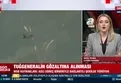 MSB'den 3. dünya savaşı açıklaması